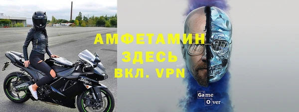 гидра Горнозаводск