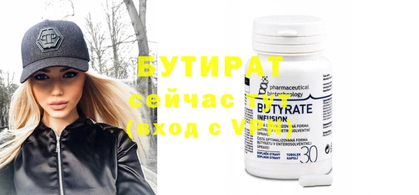 сатива Новозыбков