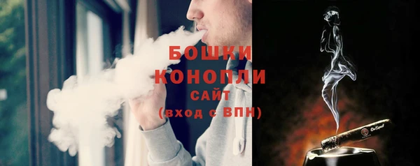 гидра Горнозаводск