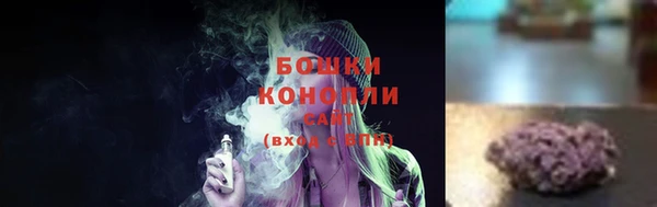 гидра Горнозаводск