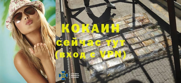 гидра Горнозаводск