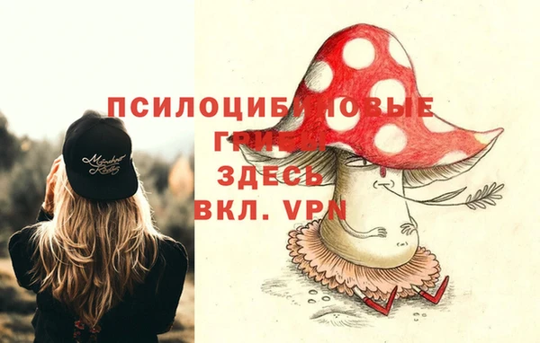 наркотики Горняк