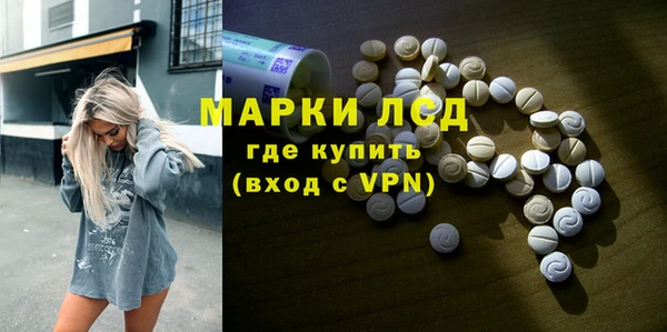 гидра Горнозаводск