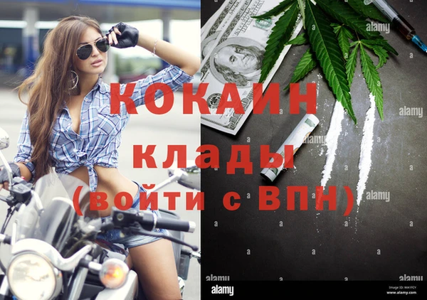 гидра Гусев