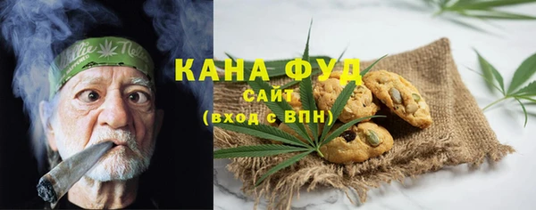 гидра Горнозаводск