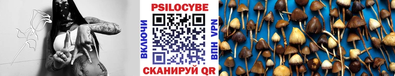 Псилоцибиновые грибы Magic Shrooms  ссылка на мегу онион  Невьянск  дарнет шоп 